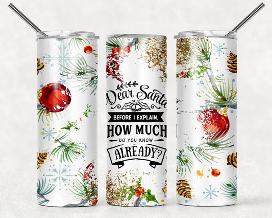 Tumbler | Dear Santa before I explain how much do know already | Drinkware | Christmas | gift
