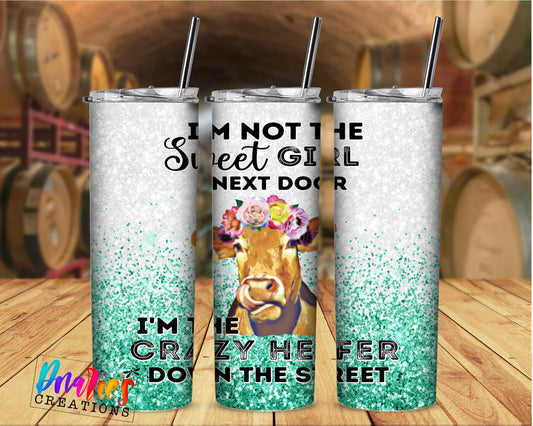 Tumbler | I'm not the sweet girl next door, I'm the crazy heifer down the street| Hot Mess| Sarcasm  | Gift | BFF | funny| Beautiful colors