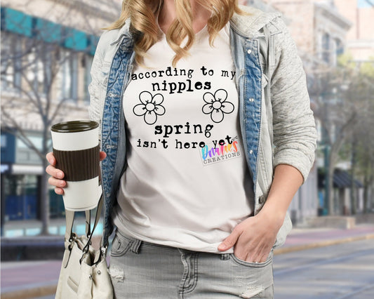T-shirt | According to my nipples spring isn't here yet |Sunshine | Flowers | Drama |Drinking| Beer | summer |